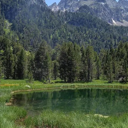 La Buhardilla De Sofía * Sesué