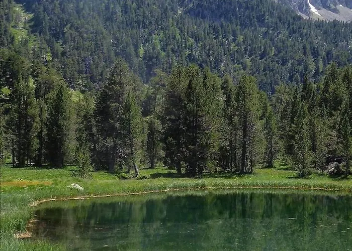 La Buhardilla De Sofia * Sesué